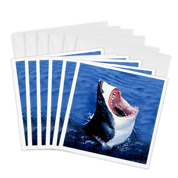 3dRose, Great White Shark, 6 Greeting Cards with envelopes