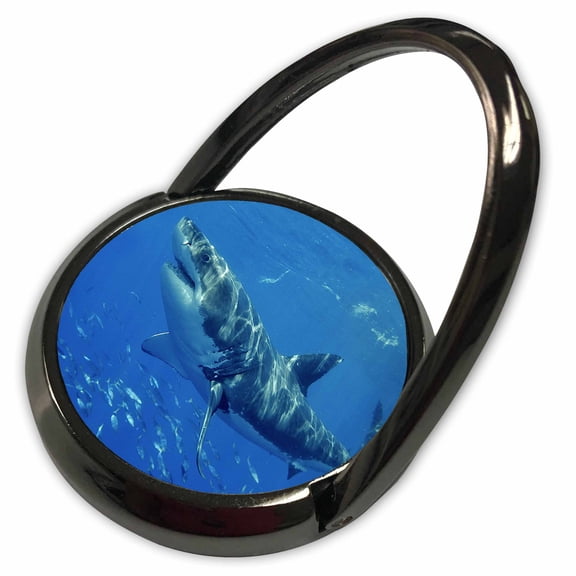 3dRose, Great White Shark, Phone Ring