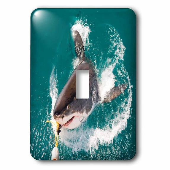 3dRose, Great White Shark Takes The Bait, single toggle switch