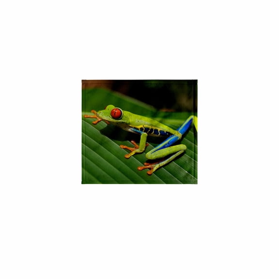 3dRose, Green Exotic Reptile Frog, 11x12 Wash Cloth for Face and Body