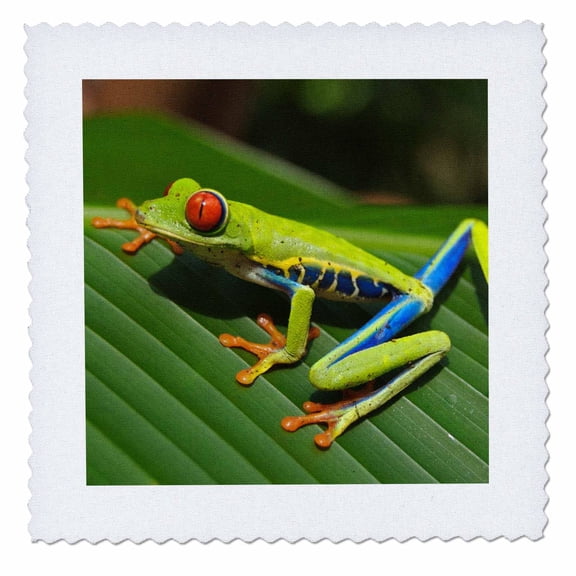 3dRose, Green Exotic Reptile Frog, 8x8 inch quilt square