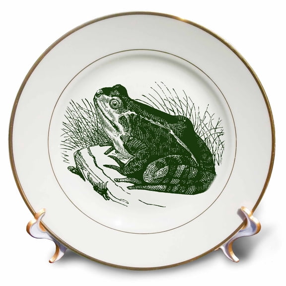 3dRose, Green Frog, 8 inch Porcelain Plate