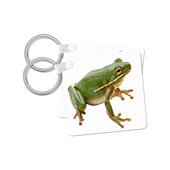 3dRose, Green Frog, set of 2 Key Chains