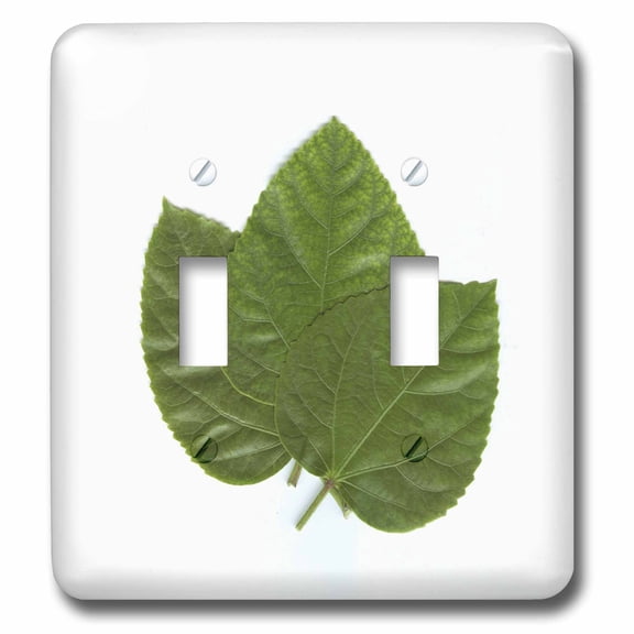3dRose, Green Leaves, double toggle switch