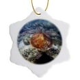 thumbnail image 1 of 3drose, Green Turtle, Great Barrier Reef, Queensland, Australia-au01 Dwa3101 - David Wall, 3 inch Snowflake Porcelain Ornament, 1 of 7