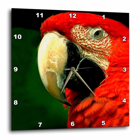 3drose, Green-winged Macaw, 10x10 Wall Clock