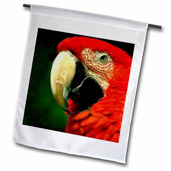 3dRose, Green-Winged Macaw, 12 x 18 inch Garden Flag