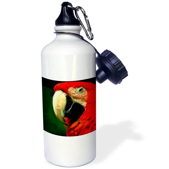 3dRose, Green-Winged Macaw, 21 oz Sports Water Bottle