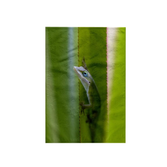 3dRose, Green anole, arboreal lizard, Kauai, Hawaii, USA - US12 DFR0147 - David R. Frazier, 15x22 Hand Towel