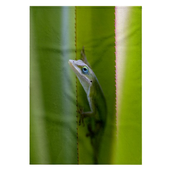 3dRose, Green anole, arboreal lizard, Kauai, Hawaii, USA - US12 DFR0147 - David R. Frazier, 22x30 Bath Hand Pool Towel