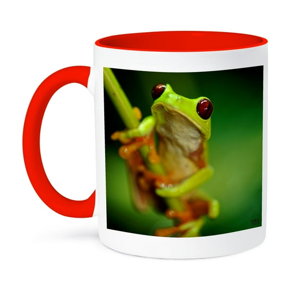 3dRose, Green tree frog on a twig, 11oz Two-Tone Red Mug