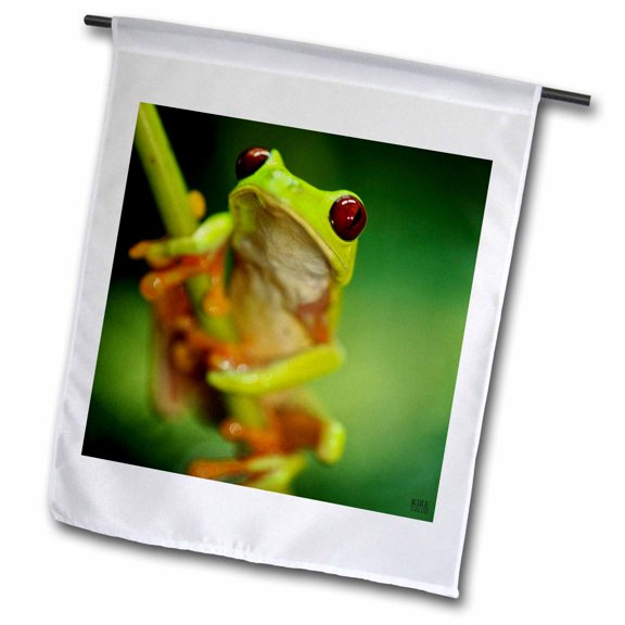 3dRose, Green tree frog on a twig, 12 x 18 inch Garden Flag