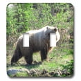 thumbnail image 1 of 3dRose, Grizzly Bear Out For a Walk in Sunny Yukon Territory, double toggle switch, 1 of 1