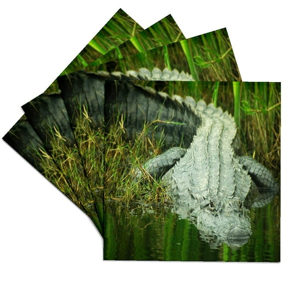 3drose, Grow Them Big Here in Florida an Alligator, Set of 4 Ceramic Tile Coasters