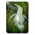 thumbnail image 1 of 3dRose, Grow them Big Here In Florida An Alligator, single toggle switch, 1 of 1