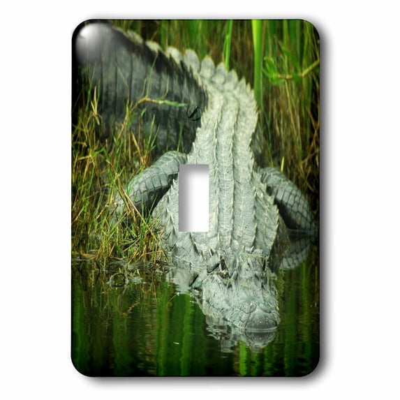 3dRose, Grow them Big Here In Florida An Alligator, single toggle switch