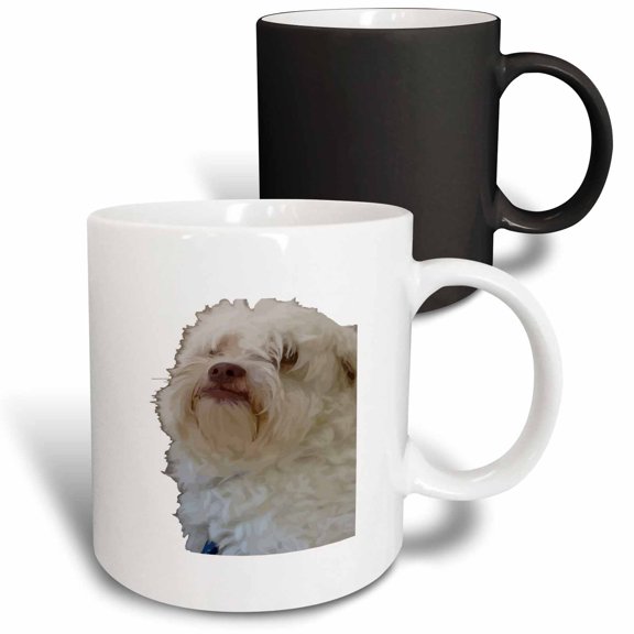 3drose, Grumpy Terrier Dog with Long White Hair Covering Eyes, 11oz Magic Transforming Mug