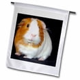 thumbnail image 1 of 3dRose, Guinea Pig, 12 x 18 inch Garden Flag, 1 of 1