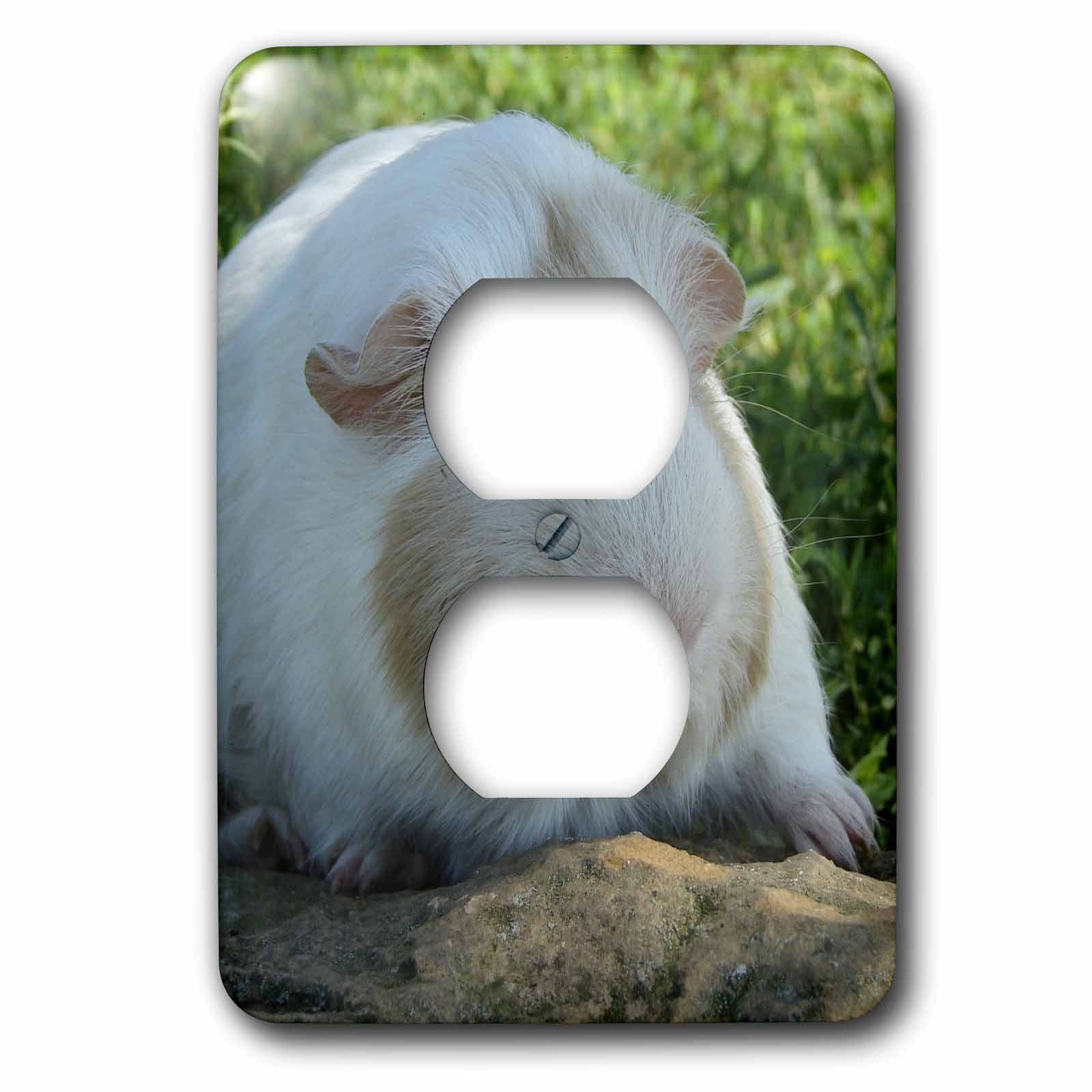 3dRose, Guinea Pig Photography by Angelandspot, 2 plug outlet cover