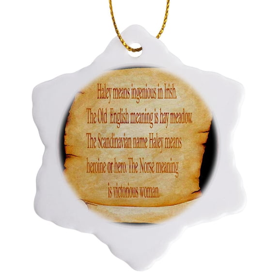 3drose, Haley the Meaning, 3 inch Snowflake Porcelain Ornament