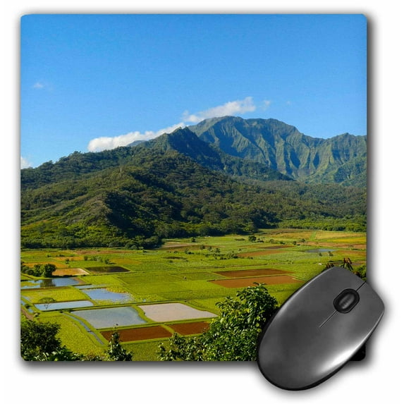 3dRose, Hanalei Valley Lookout, Taro fields, Kauai, Hawaii, MousePad