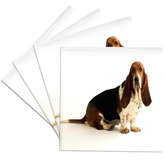 3dRose, Handsome Basset Hound, Set of 4 Ceramic Tile Coasters