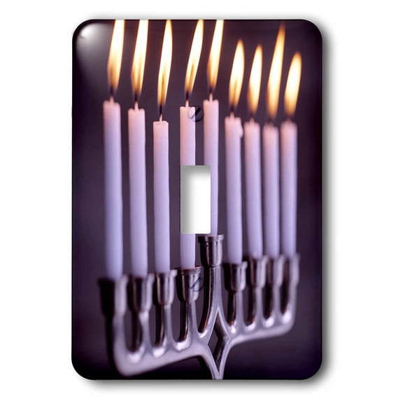 3dRose, Hanukkah Candles, single toggle switch