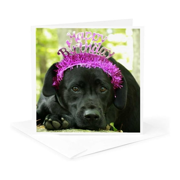 3drose, Happy Birthday Wishes Dog Black Lab Labrador Retriever, 1 Greeting Card with Envelope