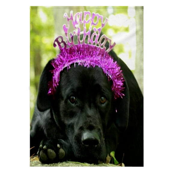 3dRose, Happy Birthday Wishes Dog Black Lab Labrador Retriever, 22x30 Bath Hand Pool Towel