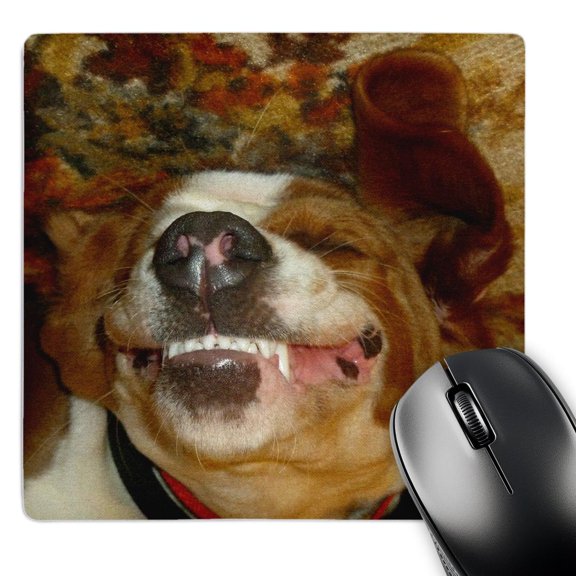 3dRose, Happy Smiling Basset Hound, MousePad