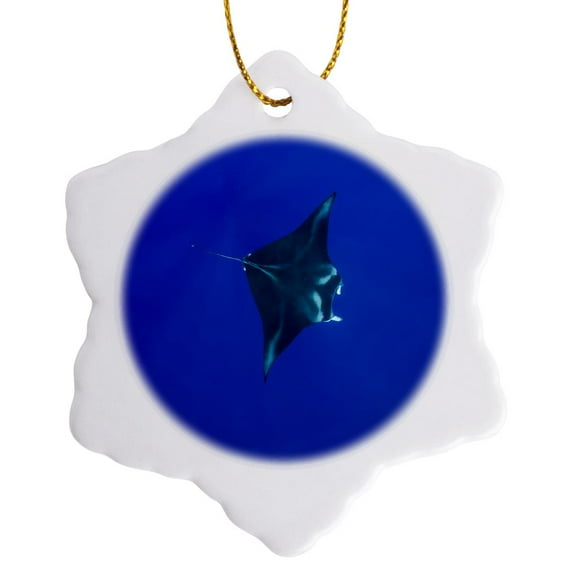 3drose, Hawaii, Big Island, Manta Ray Marine Life - Us12 Pso0034 - Paul Souders, 3 inch Snowflake Porcelain Ornament