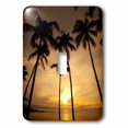 thumbnail image 1 of 3dRose, Hawaii, Kapalua Beach. Sunset and palm trees - US12 DPB1667 - Douglas Peebles, single toggle switch, 1 of 1