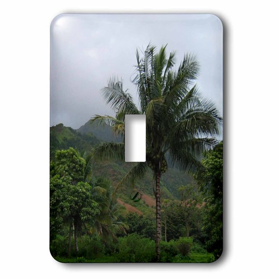 3dRose, Hawaii Palm Tree Travel Photography, single toggle switch