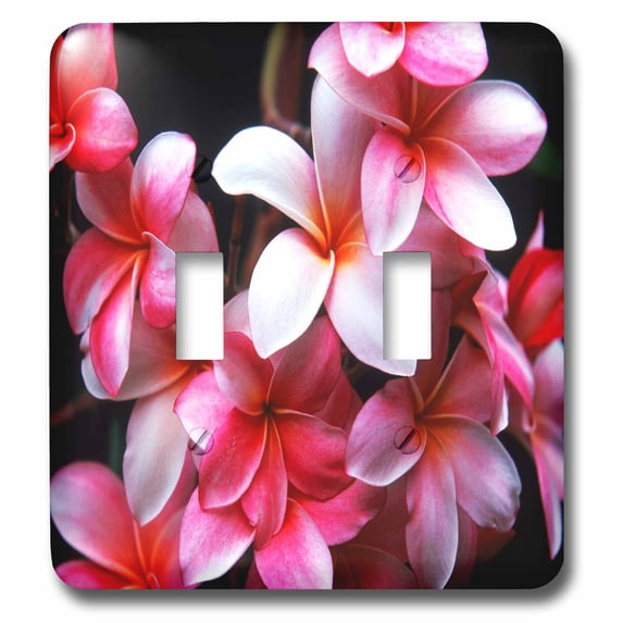 3dRose, Hawaiian Fuchsia Colored Plumeria Flowers, double toggle switch