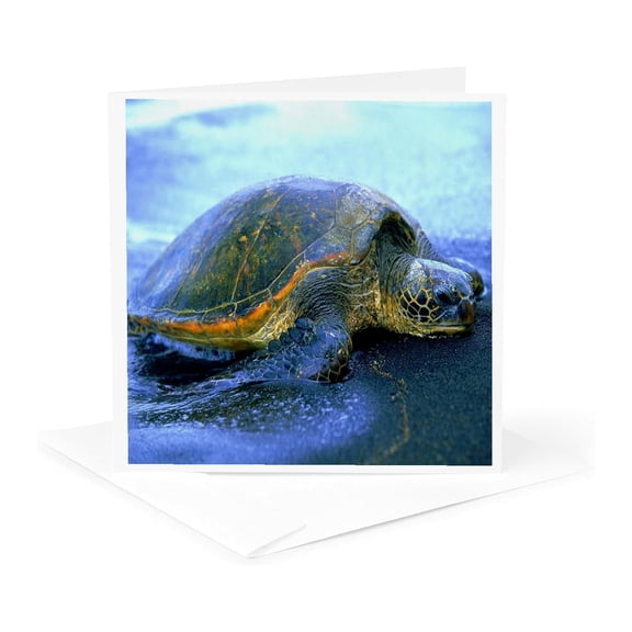 3dRose, Hawaiian Sea Turtle, 1 Greeting Card with envelope