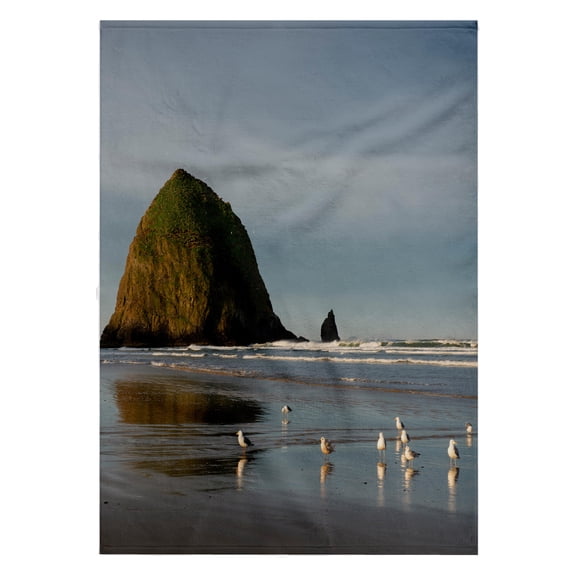 3dRose, Haystack Rock on Cannon Beach, Oregon, 22x30 Bath Hand Pool Towel