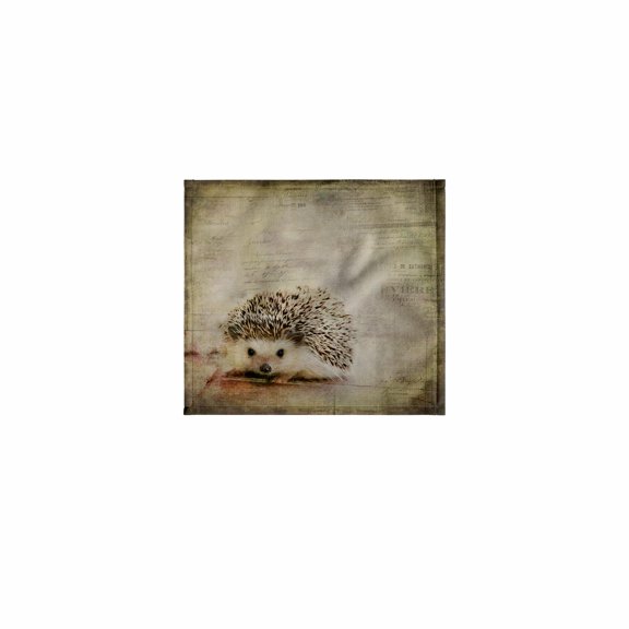3dRose, Hedgehog Mixed Media Art With Typographic Elements, 11x12 Wash Cloth for Face and Body
