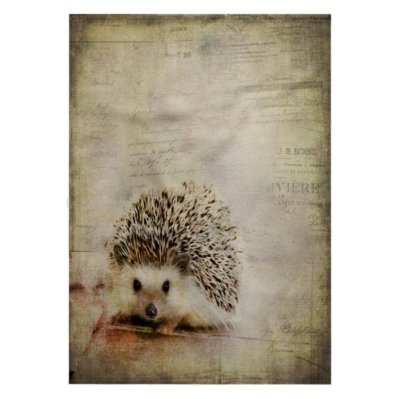 3dRose, Hedgehog Mixed Media Art With Typographic Elements, 22x30 Bath Hand Pool Towel