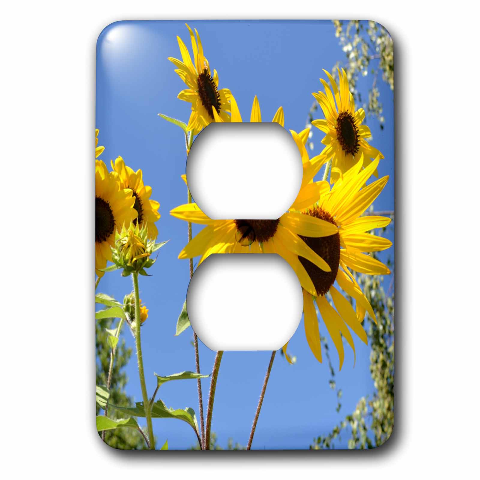 3dRose, Height of Sunflowers Flowers Flower Photography, 2 plug outlet cover