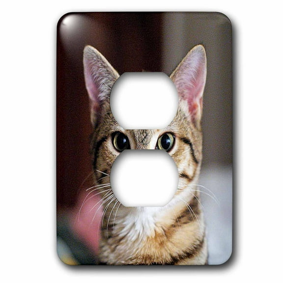 3dRose, Hello Kitty - animal, moggie, tabbies, tabby cat, cat, cats, cute, 2 plug outlet cover