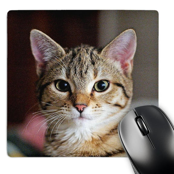 3dRose, Hello Kitty - animal, moggie, tabbies, tabby cat, cat, cats, cute, MousePad