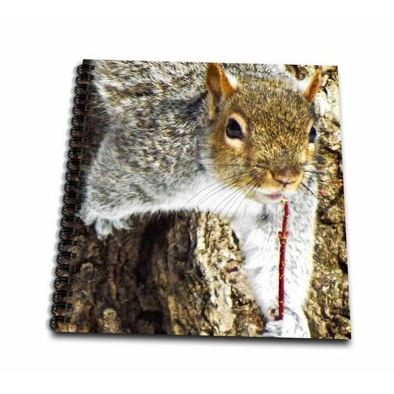 3dRose, Hello Mr. Squirrel, Mini Notepad 4 x 4 inch
