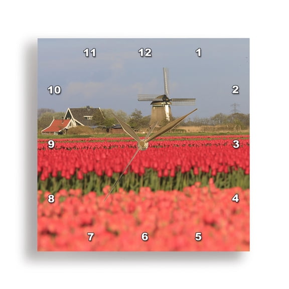 3drose, Het Zand, North Holland, Netherlands. Tulip Fields and Windmill., 13x13 Wall Clock