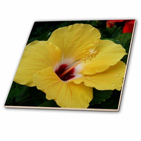3dRose, Hibiscus in Yellow, 6 Inch Ceramic Tile