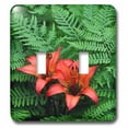 thumbnail image 1 of 3dRose, Hibiscus n Ferns, double toggle switch, 1 of 1