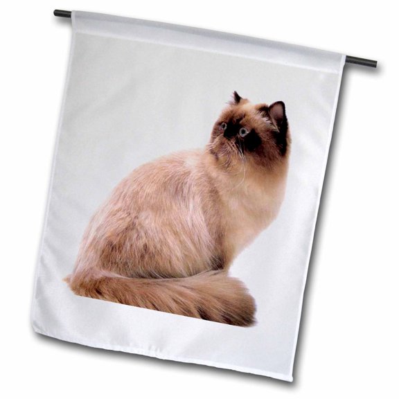 3dRose, Himalayan Cat, 12 x 18 inch Garden Flag