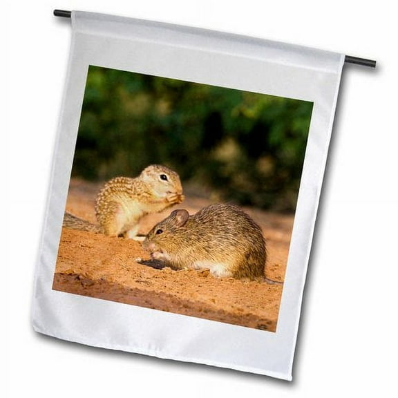 3dRose, Hispid Cotton Rat, Mexican Ground Squirrel, Wildlife - US44 LDI0648 - Larry Ditto, 12 x 18 inch Garden Flag