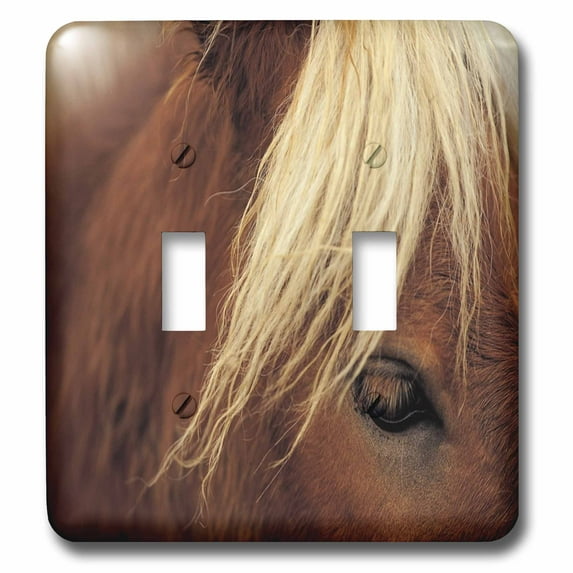 3dRose, Horse Beautiful White Mane, double toggle switch