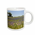 thumbnail image 1 of 3drose, Horse in Bluebonnet, Evening Primrose, Texas - Us44 Dfr0237 - David R. Frazier, 11oz Mug, 1 of 6