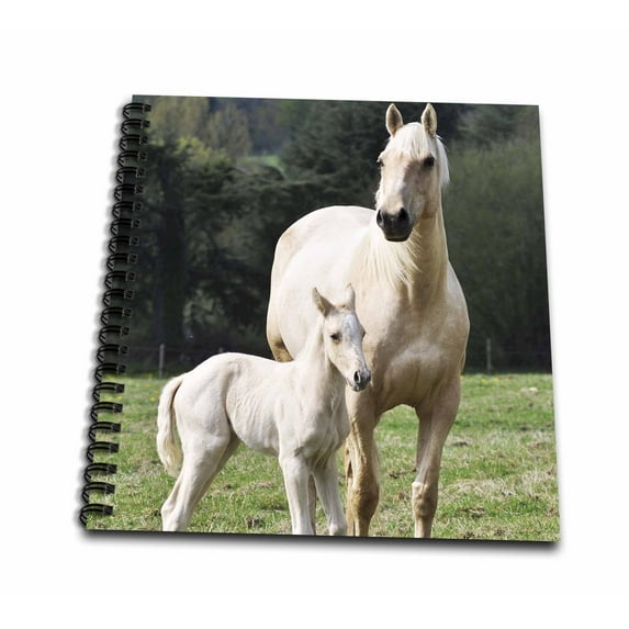 3dRose, Horses. White horses., Memory Book 12 x 12 inch
